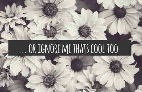 silly-luv:  ♡ find your best posts on my blog ♡