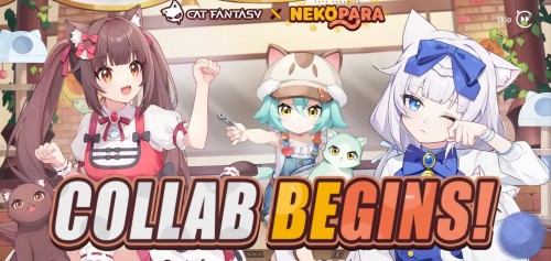 Wow A Neko Para Collab With Cat Fantasy I Didn't Expect This At All Once Again. If I Could Pull Chocola
