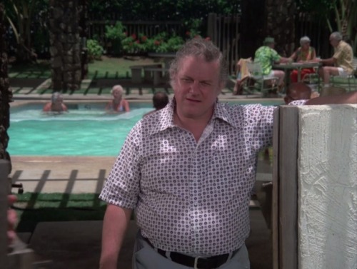 Hawaii Five-O (TV Series)’Retire in Sunny Hawaii… Forever’ S8/E9 (1975), The murd