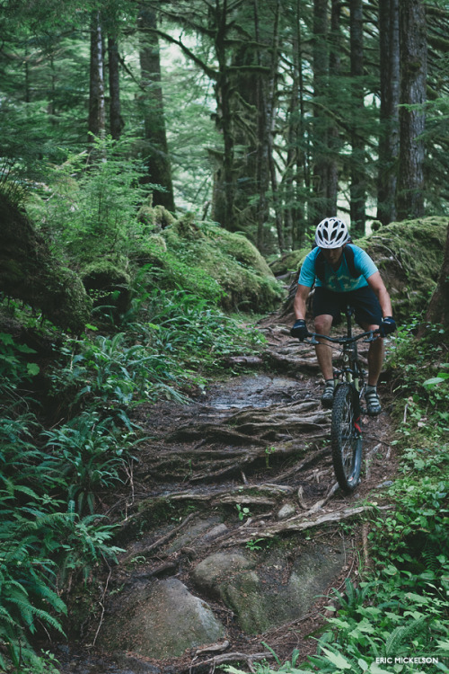 ericmickelson:  Trees, ferns, roots, rock.  Sam Clay, deep in Cascadia.