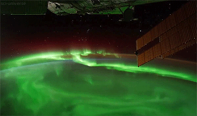 sci-universe:Auroras seen from space – probably the coolest thing in the world. The spectacle is equ