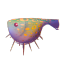 fidufish