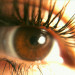 eronferr:
