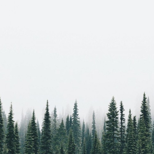 love is a downpour of shelter