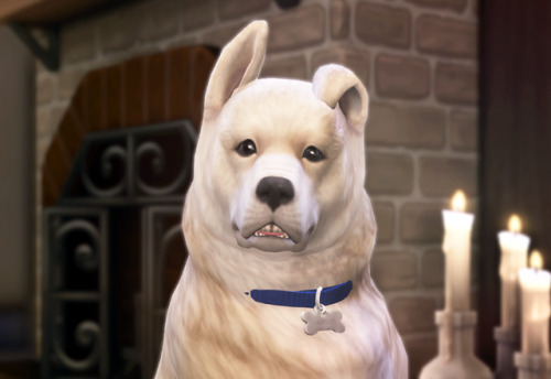 The derp is strong with this one. 