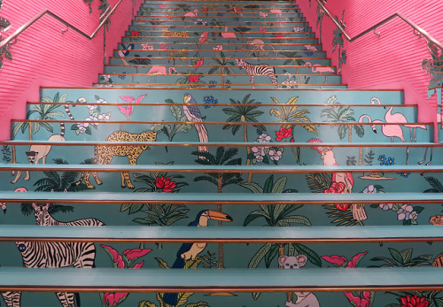 ninetail-fox: a stairs ,Shinjuku