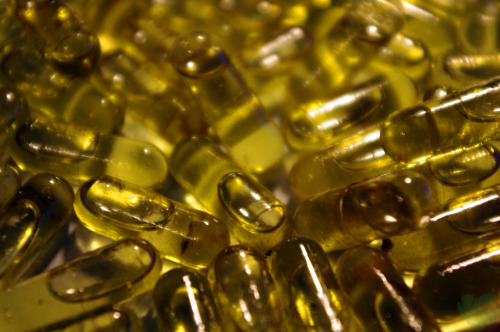 supergeeked:  vvhatmighthavebeenlost:  biitchesaintshiibuthoesntriicks:  weedporndaily:  Made 80 cannabis oil pills yesterday. Take 3 and you’re flying high for the day.  Omg there is a god  how did i not know about this sooner   Need See I would take