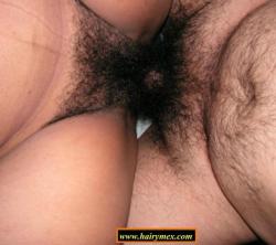 Hairymex