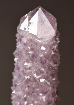 froggybangbang:  bijoux-et-mineraux:  Quartz var. Amethyst (Cactus Quartz) from Boekenhouthoek area, Mpumalanga Province, South Africa  *looks at it**looks at it some more**looks around the room*Is it… It’s it just me then? 