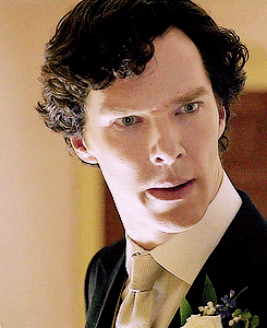 sylvscats-sherlokid-in-tardis:  hoorayforgatiss:  acciothenoseofvoldemort:  supermerwholocked:  amazingdoctorisnotonfire:  hanskristoff—annasven:  ilovett:  annuemmarizonatorres:  gaygron:  jr-abraxas:  I like how literally everything on Tumblr is an