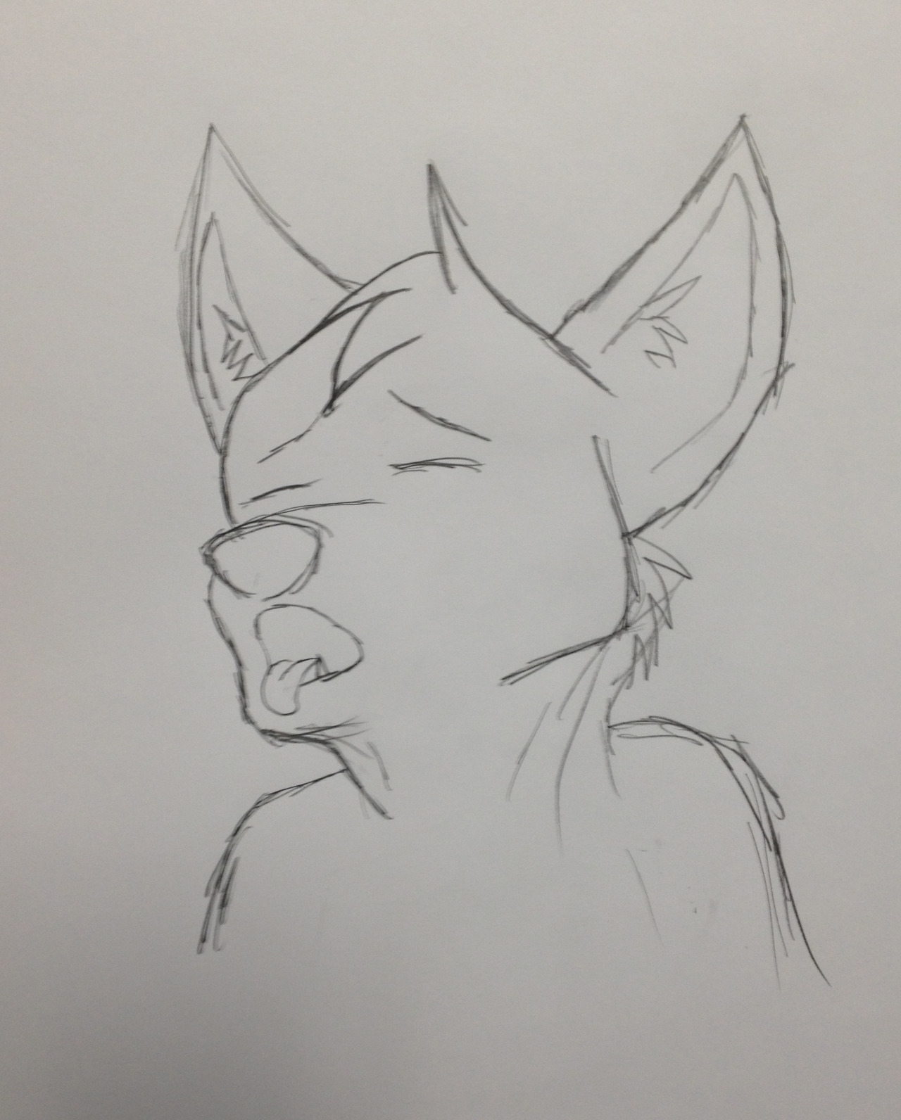 shadow-the-kitsune:  rainbows-and-paws:Day 320: More suggestive expression practice.