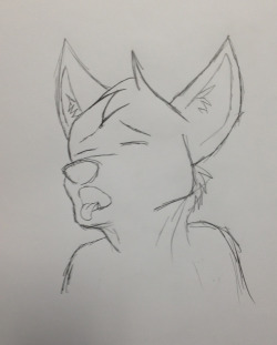 Shadow-The-Kitsune:  Rainbows-And-Paws:day 320: More Suggestive Expression Practice.