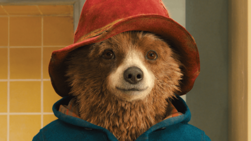 Imagine: You set up your two best friends, Harry Styles and Paddington Bear, on a date and they fall