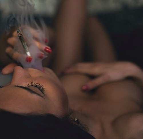 fastestslothalive:  fastestslothalive.tumblr.com