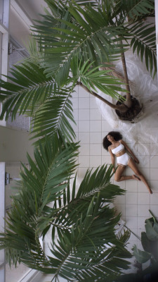 money-in-veins:  SOLANGE - CRANES IN THE