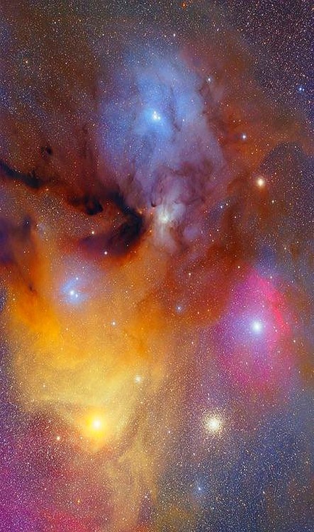 n-a-s-a:  Rho Ophiuchi and Antares   A colorful orb decorates the region surrounding the bright triple star Rho Ophiuchus. Probably no other region provides such an impressive spectacle of colorful glowing gases juxtaposed with converging dark rivers