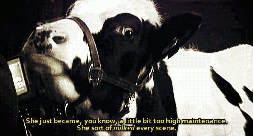 dunhamsanddreamscapes:  Anna Torv on working with Pansy (Gene) The Cow   DAMMIT ANNA