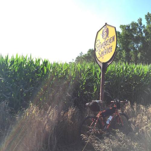 michaellehmkuhl:  SoDak corn shot. #hellofromsd #geauxvelo #adventurebybike