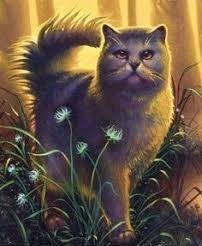 Yellowfang from Warrior Cats, as seen on the cover of Yellowfang's Secret