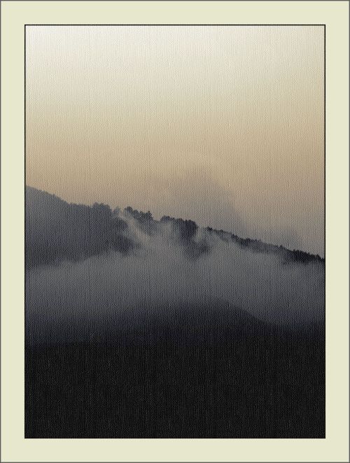 yama-bato2:  ©yama-bato 