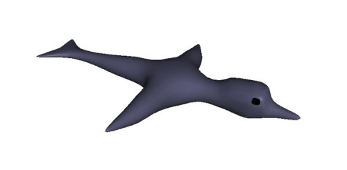 XXX gudroo: fruitsoftheweb:  Free dolphin 3D photo