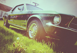 ford-mustang-generation:  1967 Pony by bOw_phOto
