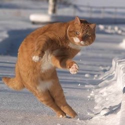 yaruo:  gkojaz:   hetmek:  via puka-world.com  