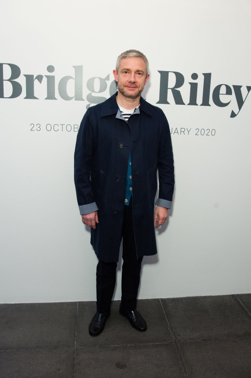 rominatrix: Martin Freeman attends the Bridget Riley Retrospective Exhibition At Hayward Gallery.