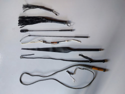 keepingher:  Whips come in many shapes and sizes, with specific uses in mind.Many masters take great pride in their ability to control the more difficult whips. There’s a certain satisfaction in being able to hit the same spot precisely, but it takes