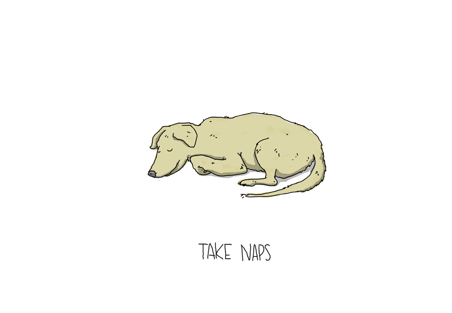 nevver:  Lessons from a Dog  Awww this is adorable 💚