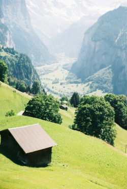 aphelia:  swisslife (by kimmie goodson)