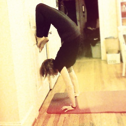 mygardenlife:Day 13 #Handstandlove @fitqueenirene Still an amateur at this, so the wall is still ass