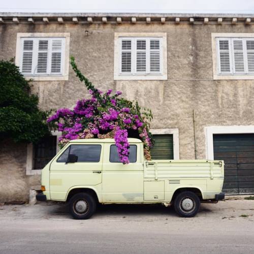 What? In the hillside village of Smokvica on the island Korcula, in Croatia. We road our bikes up he