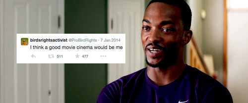 justinripley: Sam Wilson + birdsrightsactivist tweets