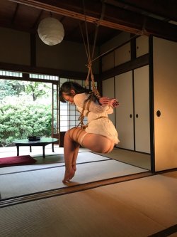 japanesebdsmofficial:    Kinbaku&amp;Photo Naka Akira Model Kanae