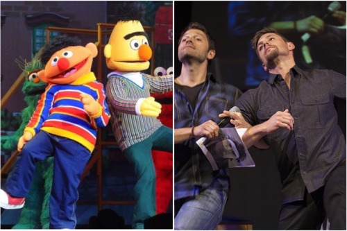 destielette:  “There are two things I know for certain: one, Bert and Ernie are gay” . . . . Credits : photo op 1 Photo op 2 photo op 3 Gifs : @mishasminions