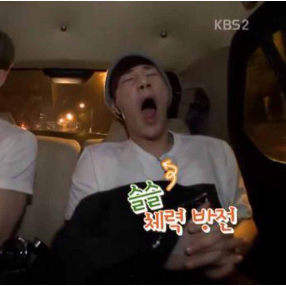 dongwtf:  Sleepy Gyu (๑ᵕ0ᵕ̤) zZ 