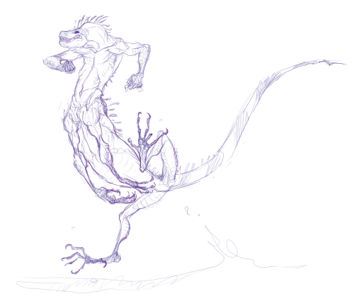 was thinking about how good lizard ribcages are and how goofy their spines are too, and I ended up w