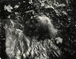 glashaut:  sally mann photography. body farm series.  eerie &amp; frightening. there are body farms where you can study the human decomposition. to stumble upon this by accident could be very traumatic, i guess.