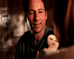 flyingduchovny:  When people say Mulder doesn’t deserve Scully…Fuck ya’ll,
