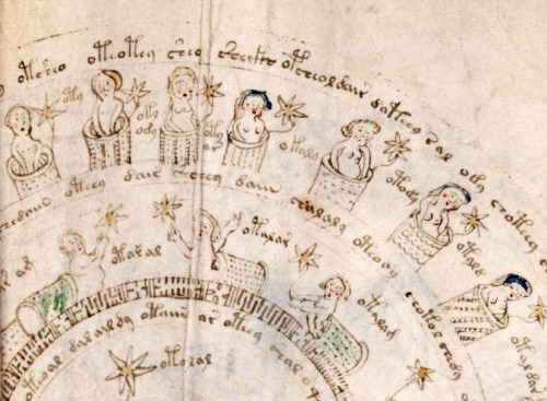 moon-medicine: The Voynich Manuscript is a mysterious text, written in an unknown language and fille