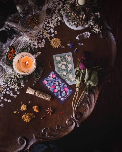 How We Develop Magickal Plant CorrespondencesSource | www.instagram.com/mariathearcane/