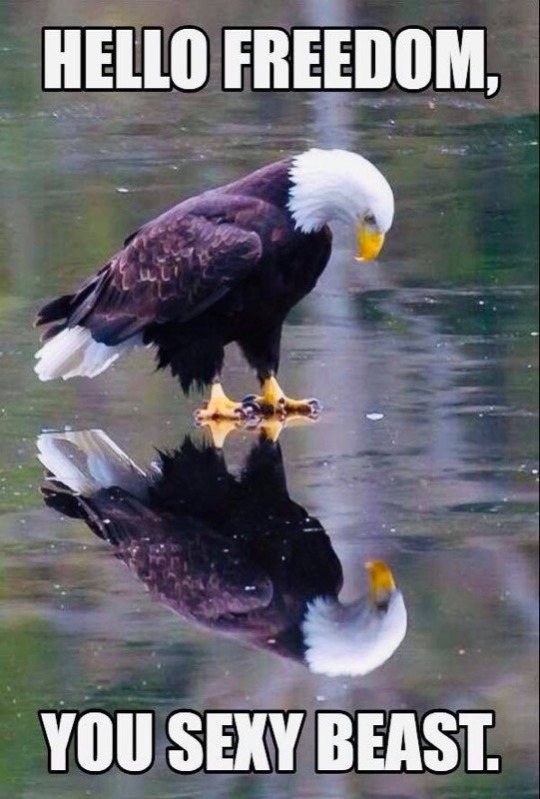 usmcfe:  
