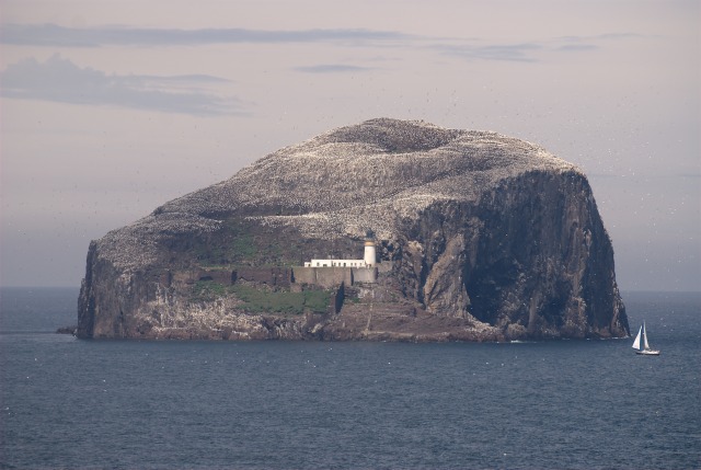 Bass Rock Bass Rock is an island off the east coast of Scotland home to a large number of gannets and a few abandoned buildings....