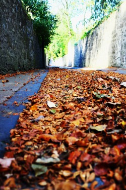 Richargedphotography:  Strawberry Bank In Autumn  I Want To Go Here!