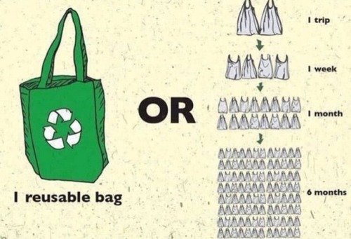 According to this graphic from Eccoamigo’s Instagram, The average person uses 96 plastic bags every 