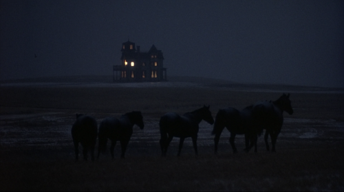 silverscreencaps:Days of Heaven (1978)