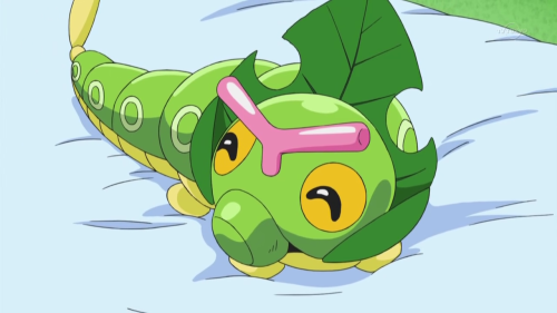 makomaragi:leAVANNY MADE CATERPIE A LITTLE HAT 