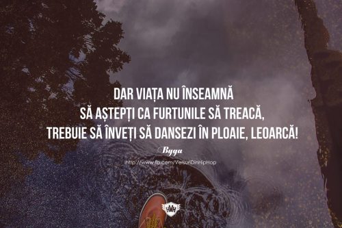 http://the-dianastratila-blog.tumblr.com/post/139539697543