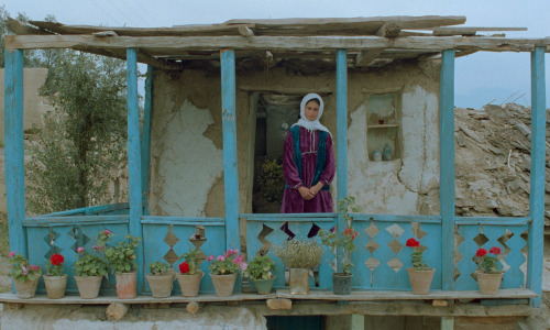 artfilmfan:  Through The Olive Trees (Abbas Kiarostami, 1994)